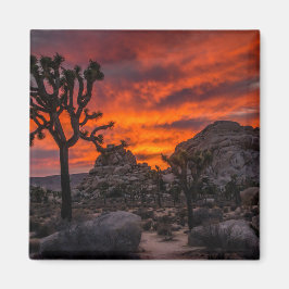 Nationaal park Joshua Tree Red Sunset Magneet