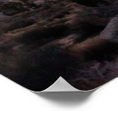 Nationaal park Joshua Tree Red Sunset Poster (Hoek)