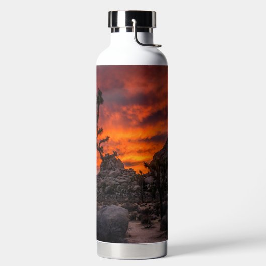Nationaal park Joshua Tree Red Sunset Waterfles (Links)