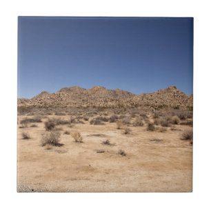 Nationaal park Joshua Tree Tegeltje