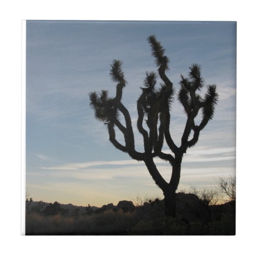 Nationaal park Joshua Tree Tegeltje (Voorkant)