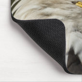 Nationaal park Katmai, Alaska Muismat (Hoek)