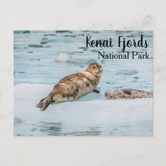 Nationaal park Kenai Fjords Briefkaart (Voorkant)