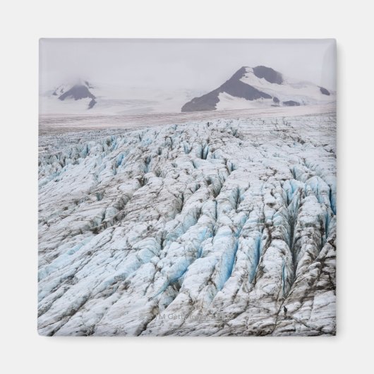 Nationaal park Kenai Fjords Magneet (Voorkant)