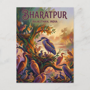 Nationaal park Keoladeo India Briefkaart