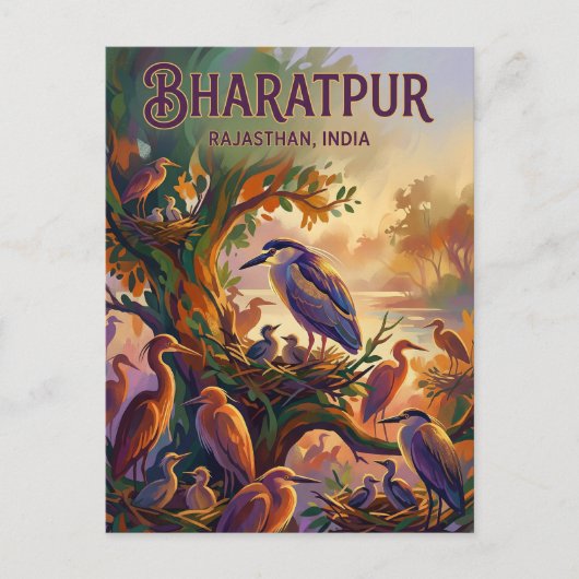 Nationaal park Keoladeo India Briefkaart (Voorkant)