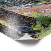 Nationaal Park Kings Canyon Foto Afdruk (Hoek)