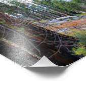 Nationaal Park Kings Canyon Foto Afdruk (Hoek)
