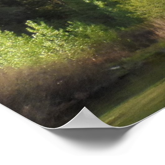 Nationaal Park Kings Canyon Poster (Hoek)