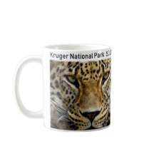 Nationaal park Kruger Leopard