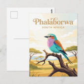 Nationaal park Kruger Zuid-Afrika Briefkaart (Voorkant / Achterkant)