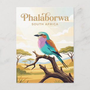 Nationaal park Kruger Zuid-Afrika Briefkaart