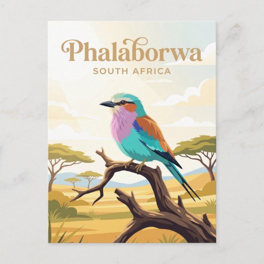 Nationaal park Kruger Zuid-Afrika Briefkaart (Voorkant)
