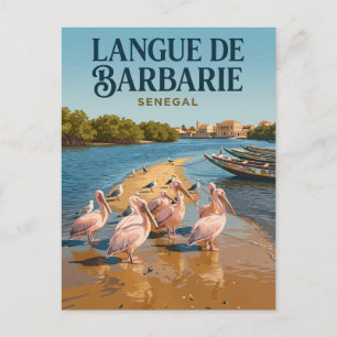 Nationaal park Langue de Barbarie Senegal Briefkaart