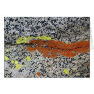 Nationaal park Lichens, Sequoia