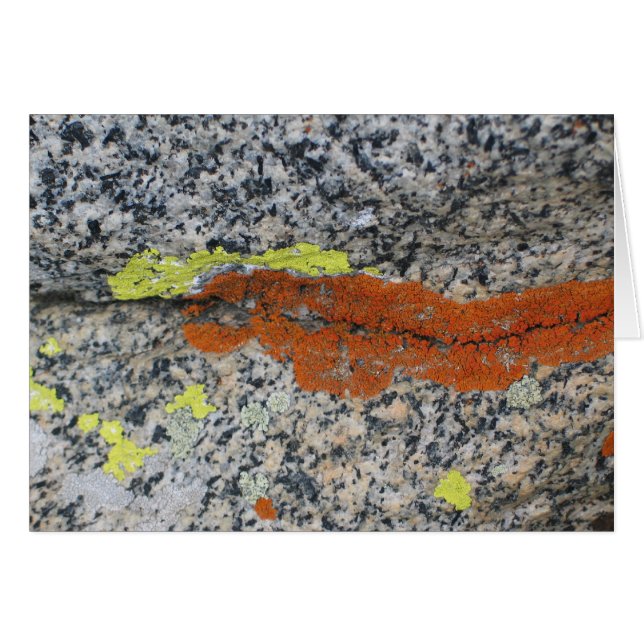 Nationaal park Lichens, Sequoia (Voorkant Horizontaal)