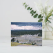 Nationaal park Lodgepole Pine Yellowstone 1968 Briefkaart (Staand voorkant)