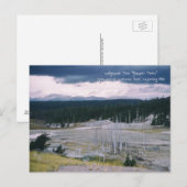 Nationaal park Lodgepole Pine Yellowstone 1968 Briefkaart (Voorkant / Achterkant)