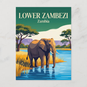 Nationaal park Lower Zambezi Zambia Briefkaart