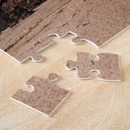 Nationaal park Maine Acadia Sand Beach Legpuzzel (Zijkant)