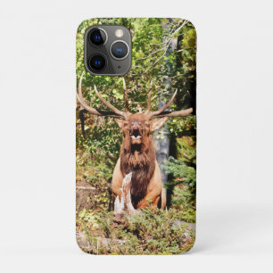 Nationaal park Male Elk in Rocky Mountain Case-Mate iPhone Case