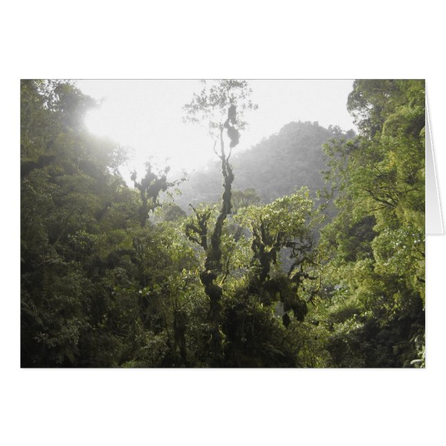 Nationaal park Manu (Voorkant Horizontaal)