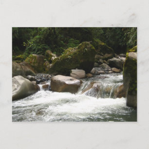 Nationaal park Manu Briefkaart