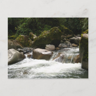 Nationaal park Manu Briefkaart