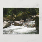 Nationaal park Manu Briefkaart (Voorkant)