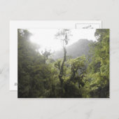 Nationaal park Manu Briefkaart (Voorkant / Achterkant)