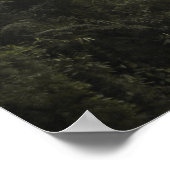 Nationaal park Manu Poster (Hoek)