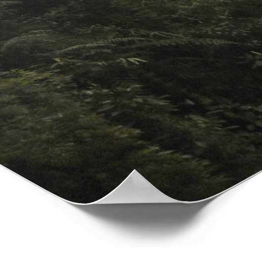 Nationaal park Manu Poster (Hoek)