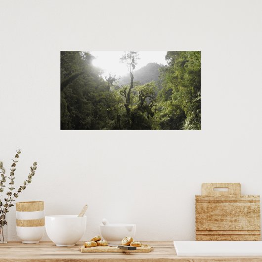 Nationaal park Manu Poster (Keuken)