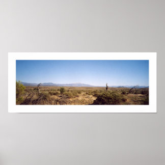 Nationaal Park McDowell Poster