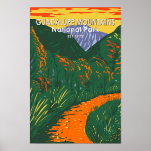 Nationaal Park McKittrick Guadalupe Mountains Poster