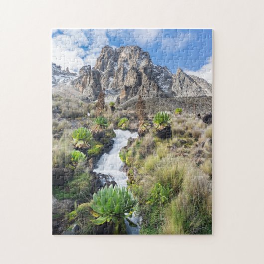 Nationaal Park Midden-Mount Kenya Legpuzzel (Verticaal)