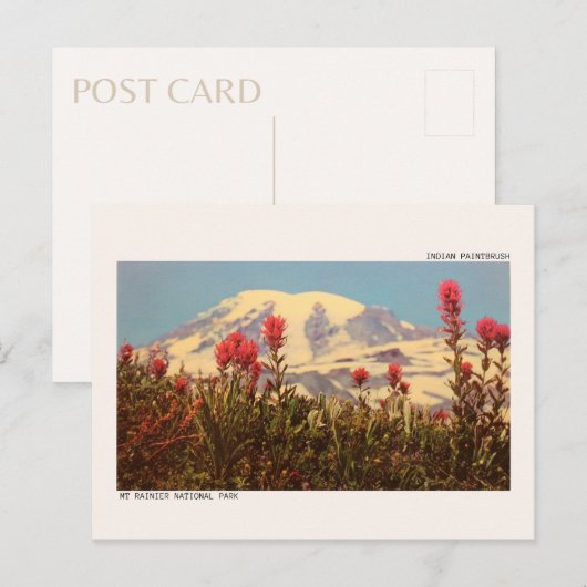 Nationaal park Mount Rainier Briefkaart (Voorkant / Achterkant)