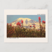 Nationaal park Mount Rainier Briefkaart (Voorkant)