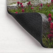 Nationaal park Mount Rainier, Mount Rainier 1 Muismat (Hoek)