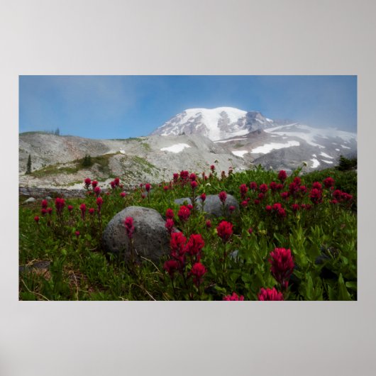 Nationaal park Mount Rainier, Mount Rainier 1 Poster (Voorkant)