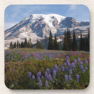 Nationaal park Mount Rainier, Mount Rainier 3 Bier Onderzetter