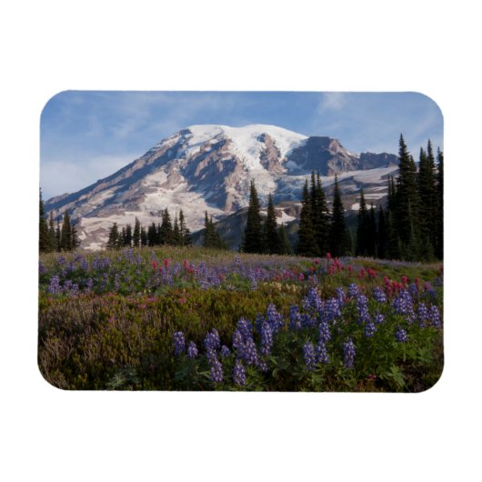Nationaal park Mount Rainier, Mount Rainier 3 Magneet (Horizontaal)