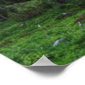 Nationaal park Mount Rainier Poster (Hoek)