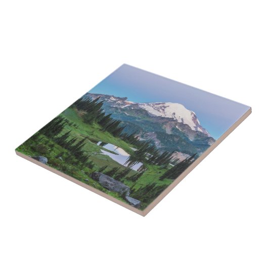 Nationaal park Mount Rainier Tegeltje (Zijkant)