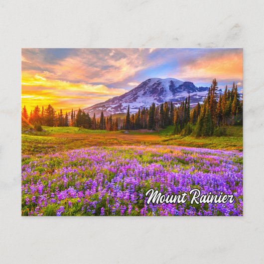 Nationaal park Mount Rainier, Washington Briefkaart (Voorkant)