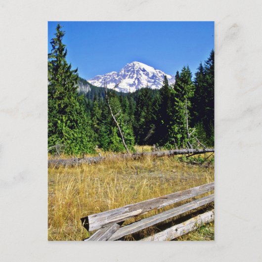 Nationaal park Mt. Rainier Briefkaart (Voorkant)
