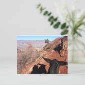 Nationaal Park Mule Ride in Zuid-Kiabab Grand Cany Briefkaart (Staand voorkant)