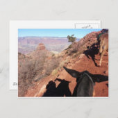 Nationaal Park Mule Ride in Zuid-Kiabab Grand Cany Briefkaart (Voorkant / Achterkant)