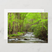 Nationaal Park North Carolina Briefkaart (Voorkant / Achterkant)