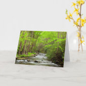 Nationaal Park North Carolina Kaart (Gele Bloem)